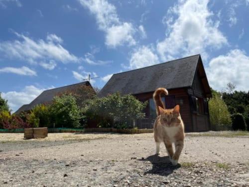 Gites Les Rainettes Vienne-en-Bessin Екстер'єр фото