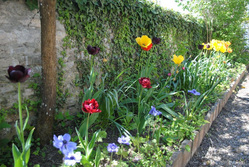 Gites Les Rainettes Vienne-en-Bessin Екстер'єр фото