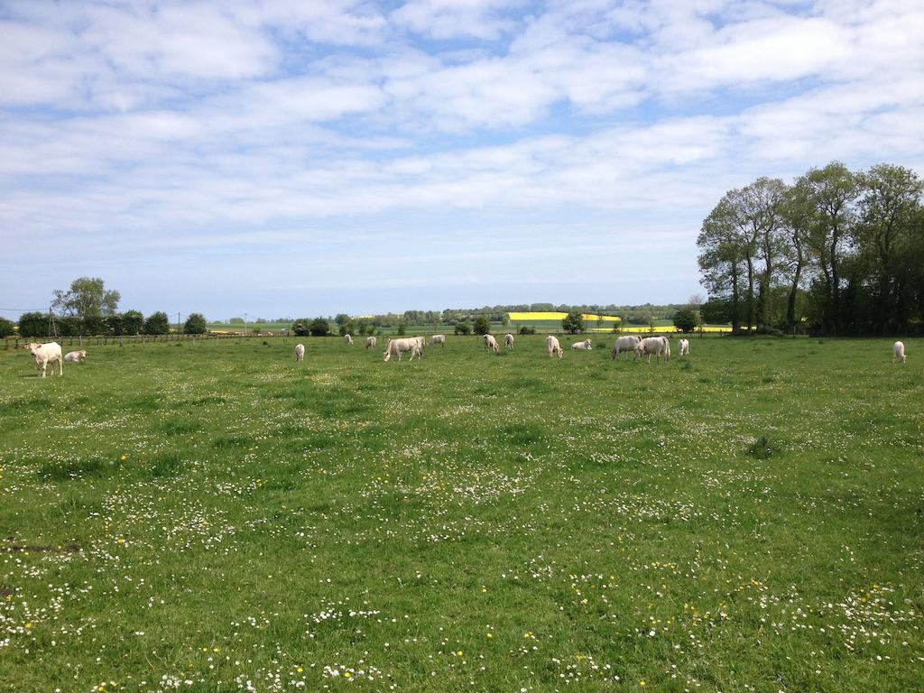 Gites Les Rainettes Vienne-en-Bessin Екстер'єр фото